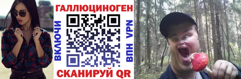 Галлюциногенные грибы Psilocybe  где продают наркотики  Моршанск 