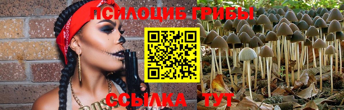 Моршанск  Галлюциногенные грибы мухоморы  Вход с VPN 